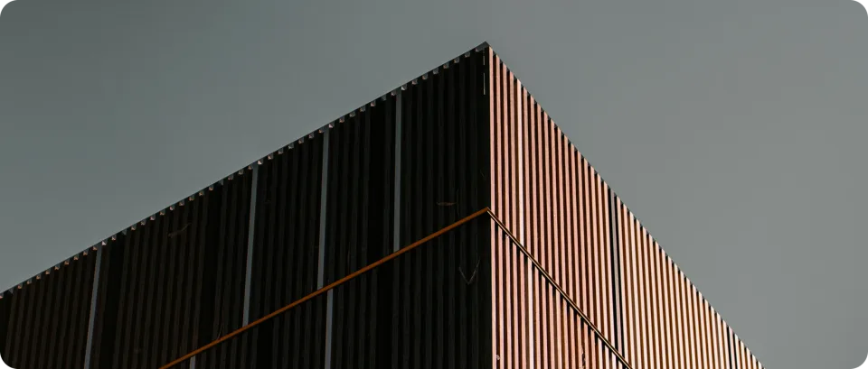 Design detail accompanying Bridging Design & Development